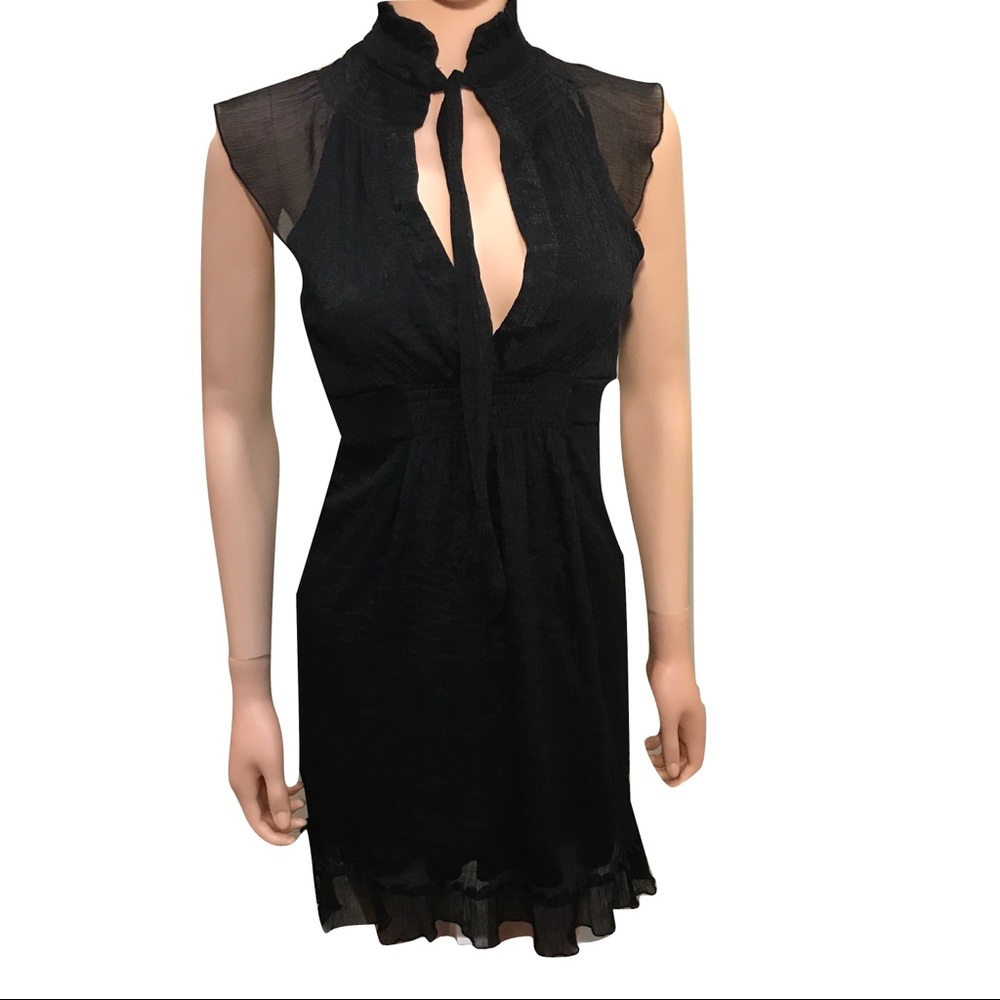 Black Cap Sleeved Semi- Sheer Love Culture Dress - Picture 6 of 8